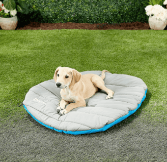 portable pet bed, a comfortable essential for pet friendly cabin rentals and camping