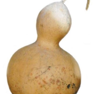 Example d'un pôt idéal de transport et conservation du jus de banane