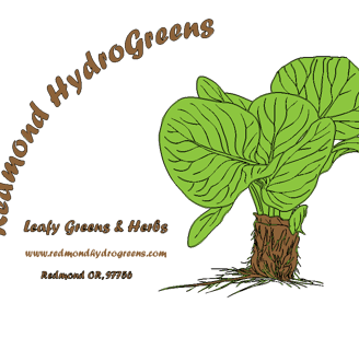 hydroponic leafy greens