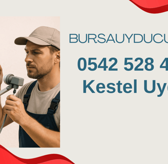 kestel uyducu