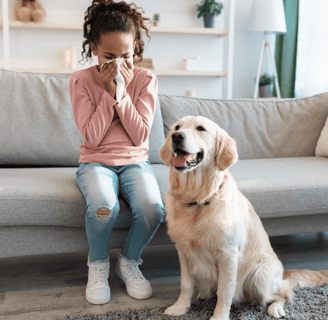 Les allergies et la qualité de l’air intérieur