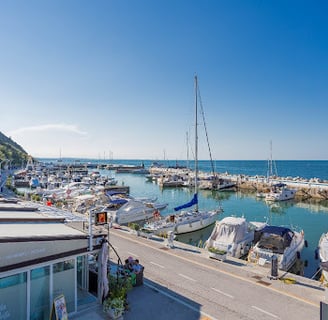 Porto Vallugola, escursioni in mare