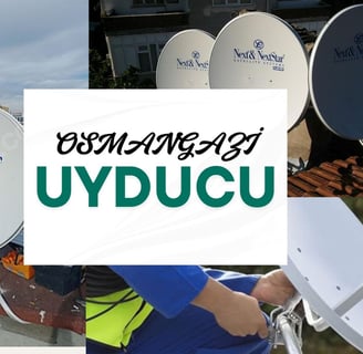 osmangazi uyducu