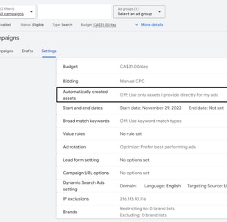 Automatically Created Assets