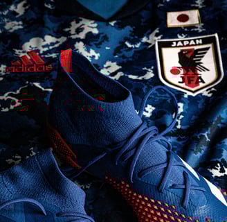 Maillot_japon_image
