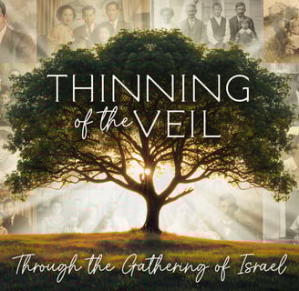 Thinning of the Veil tree on ancestor pictures