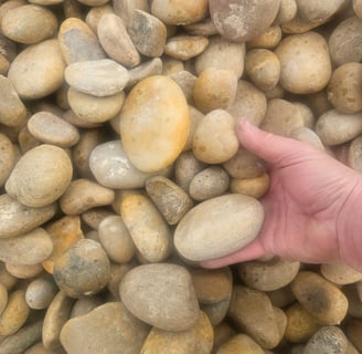 rocks