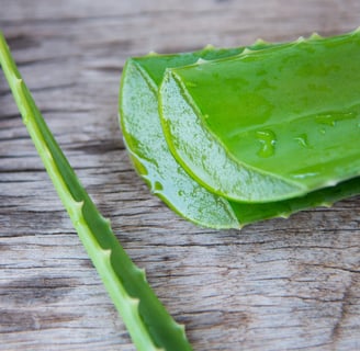 Produits naturels à base d'aloe vera pour une activité bien-être à domicile forever living products