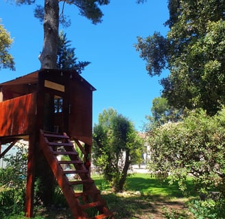 cabane de jardin