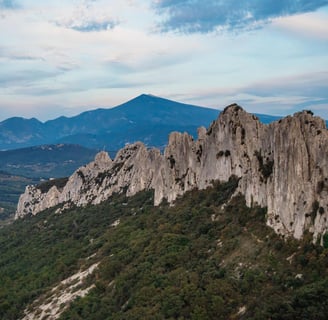 les dentelles de montmirail