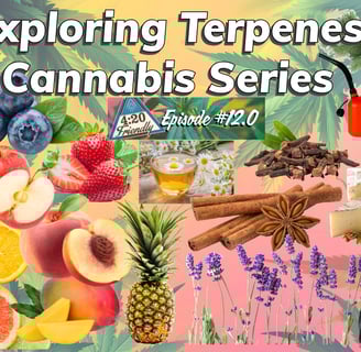 Why are some strains fruity and others skunky?  How do they work?  Which terpene profile is right fo