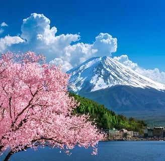 a tree with a mountain in the background