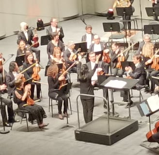 Members of Montpelllier National Orchestra