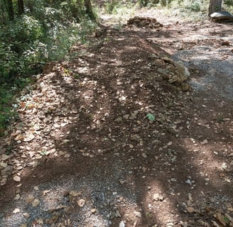 An abandoned adventure  site in the woods