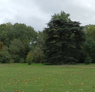 The parc Azay le Rideau