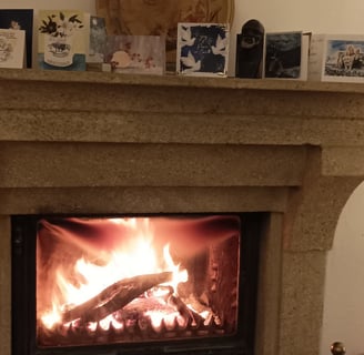 Our fireside  in January