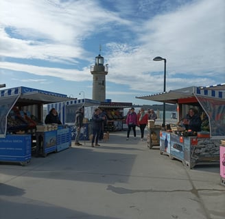 The Oyster market