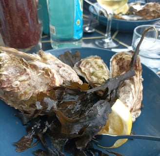 Flat belon oysters from Cancale