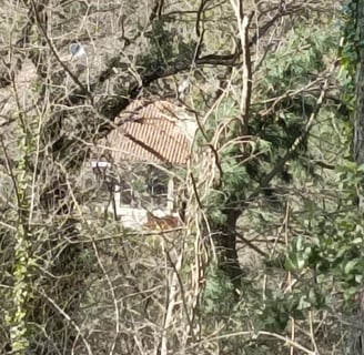 The house below