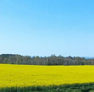 Fields of luminous rape