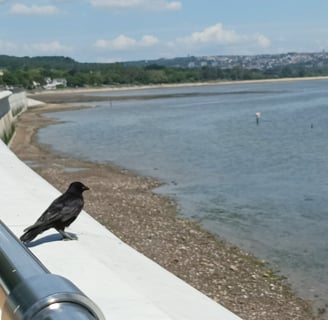 Looking towards the city of Swansea