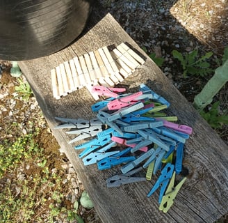 Old pegs and New wooden replacements