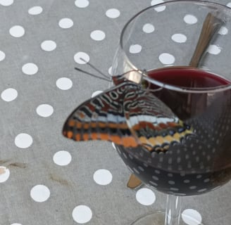 The two tailed Pasha seems partial to red wine