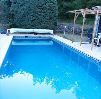 Anybody for a swim?