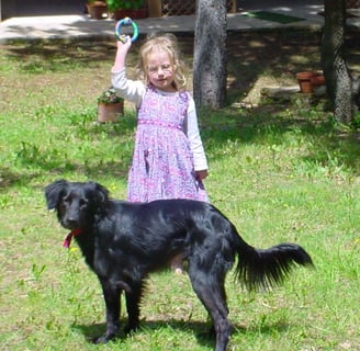 a young girl in a dress and a dog in a yard