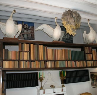 Inside the home of Salvador Dali