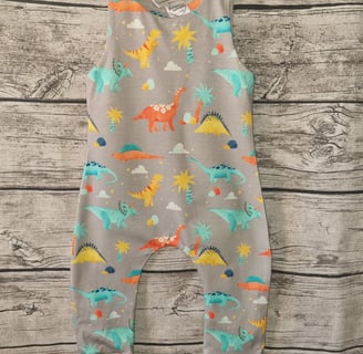 a baby's dinosaur print romper 
