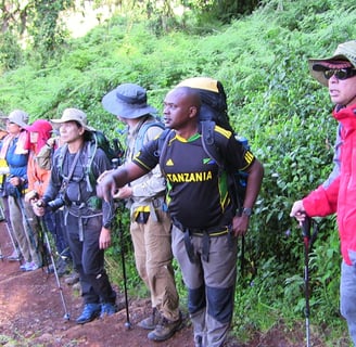 trekkers on mount Kilimanjaro