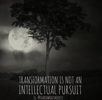 black and white digital art of an iroko tree with a full moon in the background