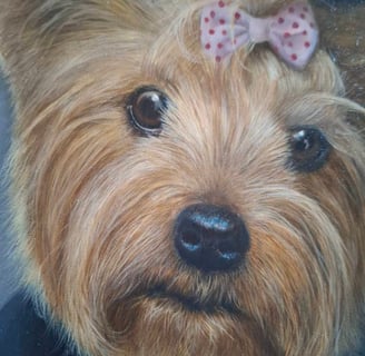 a dog with a bow tie on its head