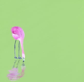 a pink flamingo bird standing in the water