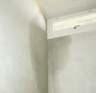 Casa de planta baja con problemas de humedad en las paredes y soluciones efectivas. Reformistas Valencia
