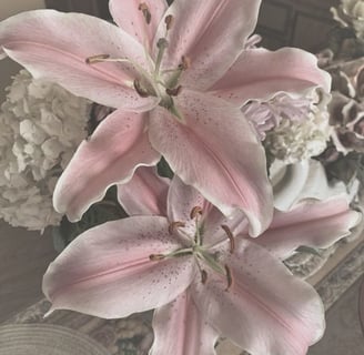 High-maintenance habits that create an effortless beauty look. Discover feminine rituals for glow, e