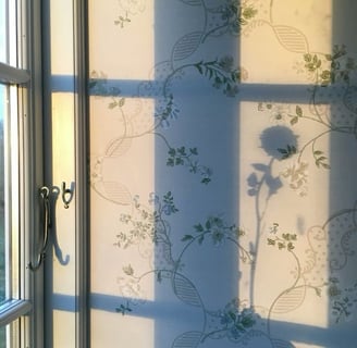 25 Deep Shadow Work Prompts for Inner Healing