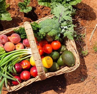 a basket full of organic vegetables and fruits