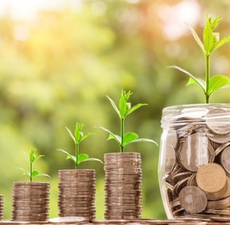 a jar of coins and a plant growing out of a jar. saving on plant based diet