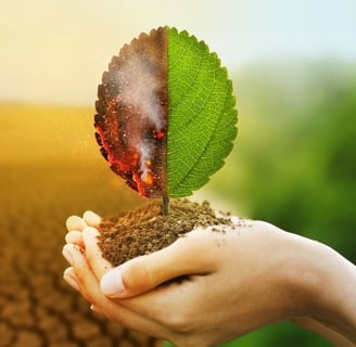Save the planet 