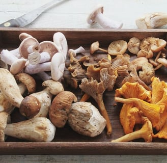 a wooden box with wild mushrooms