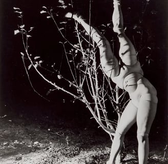 Hans Bellmer | © Cookingwiththehamster