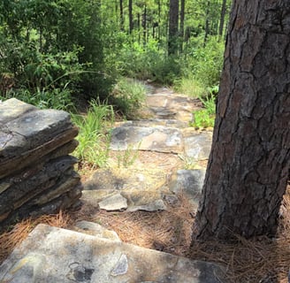 Hiking trail 