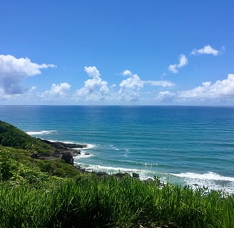 a view of a beach with a bird flying over the water