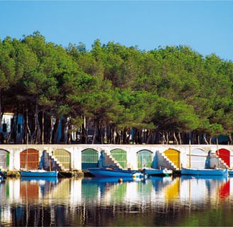 a row of boats in a row on the water