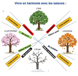 Saison et Médecine chinoise Crolles Acupuncture