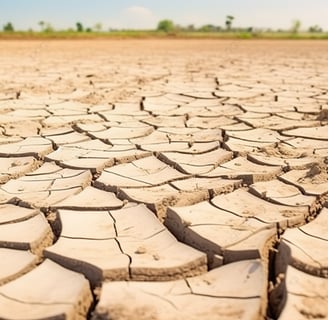 Cracked, dry earth in a drought-stricken area,