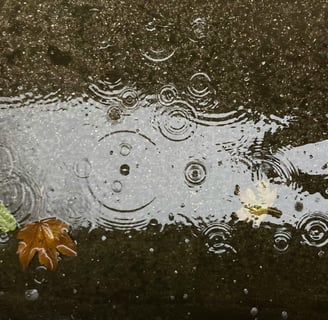 a chuva que lava a alma