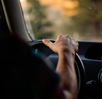 Person holding steering wheel